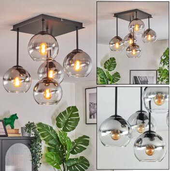Koyoto Plafondlamp, Kogellampje Duidelijk, Rookkleurig, 5-lichts