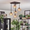 Ripoll Plafondlamp, Kogellampje Amber, Duidelijk, 5-lichts