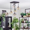Ripoll Plafondlamp, Kogellampje Amber, Duidelijk, Rookkleurig, 5-lichts