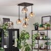 Ripoll Plafondlamp, Kogellampje Amber, Duidelijk, Rookkleurig, 5-lichts