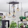 Ripoll Plafondlamp, Kogellampje Amber, Duidelijk, Rookkleurig, 5-lichts