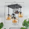 Ripoll Plafondlamp, Kogellampje Amber, Duidelijk, Rookkleurig, 5-lichts