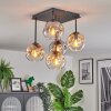 Ripoll Plafondlamp, Kogellampje Amber, Duidelijk, Rookkleurig, 5-lichts
