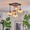 Koyoto Plafondlamp, Kogellampje Amber, Duidelijk, Rookkleurig, 5-lichts
