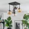 Ripoll Plafondlamp, Kogellampje Amber, Duidelijk, Rookkleurig, 5-lichts