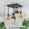 Ripoll Plafondlamp, Kogellampje Amber, Duidelijk, Rookkleurig, 5-lichts
