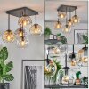 Ripoll Plafondlamp, Kogellampje Amber, Duidelijk, Rookkleurig, 5-lichts