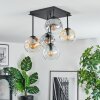 Ripoll Plafondlamp, Kogellampje Amber, Duidelijk, Rookkleurig, 5-lichts