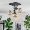 Ripoll Plafondlamp, Kogellampje Amber, Rookkleurig, 5-lichts