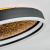 Guine Plafondlamp LED Goud, Zwart, 1-licht
