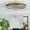 Guine Plafondlamp LED Goud, Zwart, 1-licht