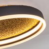 Guine Plafondlamp LED Goud, Zwart, 1-licht