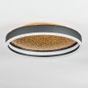Guine Plafondlamp LED Goud, Zwart, 1-licht