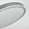 Salmi Plafondlamp, Paneel LED Grijs, Zilver, 1-licht, Afstandsbediening