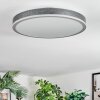 Salmi Plafondlamp, Paneel LED Grijs, Zilver, 1-licht, Afstandsbediening