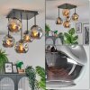 Ripoll Plafondlamp, Kogellampje Rookkleurig, 5-lichts