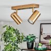 Javel Plafondlamp, Plafondspot Goud, 2-lichts