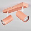 Javel Plafondlamp, Plafondspot Roze, Wit, 2-lichts