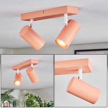 Javel Plafondlamp, Plafondspot Roze, Wit, 2-lichts