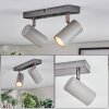 Javel Plafondlamp, Plafondspot Chroom, Grijs, 2-lichts