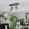 Javel Plafondlamp, Plafondspot Chroom, Grijs, 2-lichts