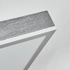 Salmi Plafondlamp, Paneel LED Grijs, Zilver, 1-licht, Afstandsbediening