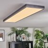 Salmi Plafondlamp, Paneel LED Grijs, Zilver, 1-licht, Afstandsbediening