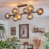 Ripoll Plafondlamp, Kogellampje Rookkleurig, 8-lichts