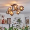 Ripoll Plafondlamp, Kogellampje Rookkleurig, 8-lichts