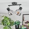 Saire Plafondlamp, Plafondspot Chroom, Zwart, 2-lichts