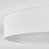 Omaro Plafondlamp, Paneel LED Wit, 1-licht, Kleurwisselaar