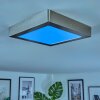 Omaro Plafondlamp, Paneel LED Nikkel mat, 1-licht, Kleurwisselaar