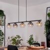 Ripoll Hanglamp, Kogellampje, Hanglamp Amber, Duidelijk, Rookkleurig, 5-lichts