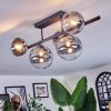 Chehalis Plafondlamp, Kogellampje Duidelijk, Rookkleurig, 5-lichts
