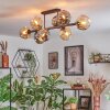Ripoll Plafondlamp, Kogellampje Amber, Rookkleurig, 8-lichts