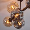 Ripoll Plafondlamp, Kogellampje Amber, Rookkleurig, 8-lichts