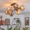Ripoll Plafondlamp, Kogellampje Amber, Rookkleurig, 8-lichts