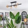 Chehalis Plafondlamp, Kogellampje Amber, Duidelijk, 5-lichts