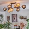 Ripoll Plafondlamp, Kogellampje Amber, Rookkleurig, 8-lichts
