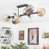 Ripoll Plafondlamp, Kogellampje Amber, Duidelijk, Rookkleurig, 8-lichts