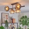 Ripoll Plafondlamp, Kogellampje Duidelijk, Rookkleurig, 5-lichts