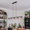 Koyoto Hanglamp, Kogellampje, Hanglamp Duidelijk, Rookkleurig, 5-lichts