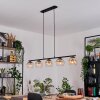 Koyoto Hanglamp, Kogellampje, Hanglamp Amber, Duidelijk, 5-lichts
