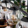 Koyoto Hanglamp, Kogellampje, Hanglamp Amber, Duidelijk, Rookkleurig, 5-lichts