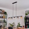 Koyoto Hanglamp, Kogellampje, Hanglamp Amber, Duidelijk, Rookkleurig, 5-lichts