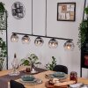 Ripoll Hanglamp, Kogellampje, Hanglamp Duidelijk, Rookkleurig, 5-lichts