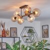 Koyoto Plafondlamp, Kogellampje Amber, Duidelijk, Rookkleurig, 8-lichts