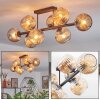 Ripoll Plafondlamp, Kogellampje Amber, 8-lichts