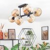 Ripoll Plafondlamp, Kogellampje Amber, 8-lichts