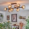 Ripoll Plafondlamp, Kogellampje Amber, Duidelijk, Rookkleurig, 8-lichts